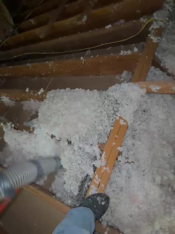 Attic insulation removal in progress with vacuum hose and cleared joist bays