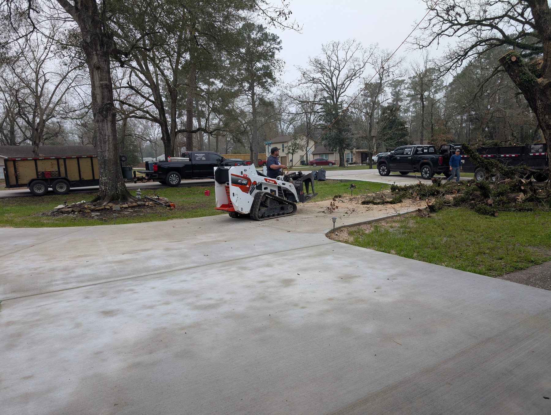 Skid steer hauling brush after residential tree removal